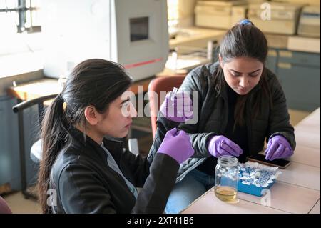 INDIEN, Ludhiana, PAU Punjab Agricultural University, Abteilung Biotechnologie, Labor / INDIEN, Ludhiana, Punjab landwirtschaftliche Universität, Abteilung Biotechnologie, Arbeit Stockfoto