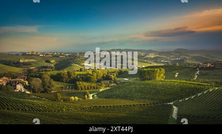 Langhe Region, Blick auf die Weinberge bei Sonnenuntergang. UNESCO-Weltkulturerbe. La Morra, Piemont, Italien, Europa. Stockfoto