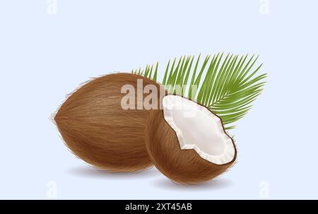 Kokosnüsse mit Palmenblatt-Vektor-Illustration. Süße exotische Früchte. Tropische Nüsse mit frischem Laub 3D Objekt auf hellem Hintergrund Stock Vektor