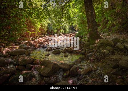 Ein friedlicher Bach schlängelt sich durch einen üppigen, schattigen Wald in Hervas, Caceres. Das Sonnenlicht filtert durch dichtes Laub und wirft schmutzige Schatten auf die Th Stockfoto