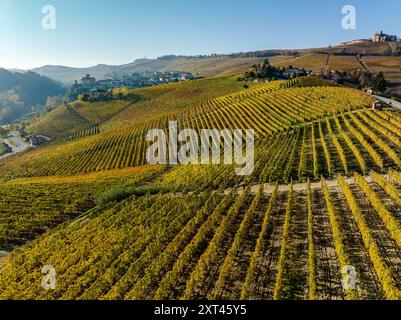 Herbstlicher Blick auf die Cannubi-Hügel in Barolo, Italien, der berühmteste Weinberg im Piemont und einer der berühmtesten der Welt. Stockfoto