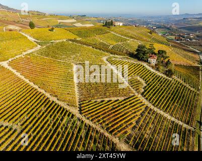 Herbstlicher Blick auf die Cannubi-Hügel in Barolo, Italien, der berühmteste Weinberg im Piemont und einer der berühmtesten der Welt. Stockfoto