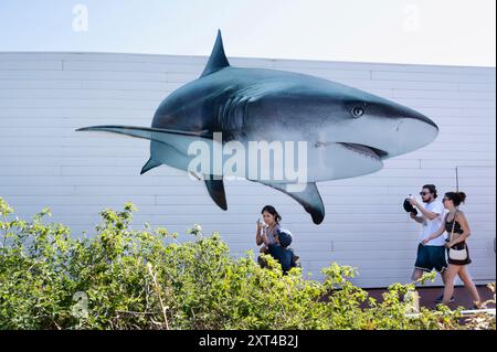 Besucher laufen in Richtung des Haifischaquariums in L'Oceanogràfic in der Stadt der Künste und Wissenschaften in Valencia. Er ist Europas größter ozeanographischer Park und zeigt die bezaubernde Welt der Meereslebewesen mit über 500 Arten, darunter Delfine, Belugas und Haie. Stockfoto