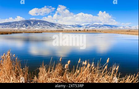 Onte Vista National Wildlife Refuge und die San Juan Mountains, San Luis Valley, Colorado, USA Stockfoto