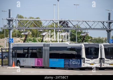 Schnellladestation für Elektrobusse am Flughafen Amsterdam Schiphol ist die gesamte Flotte von Personenbussen elektrisch, über 200 Fahrzeuge, Stockfoto