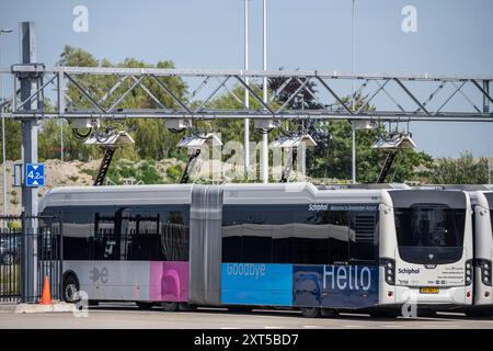 Schnellladestation für Elektrobusse am Flughafen Amsterdam Schiphol ist die gesamte Flotte von Personenbussen elektrisch, über 200 Fahrzeuge, Stockfoto