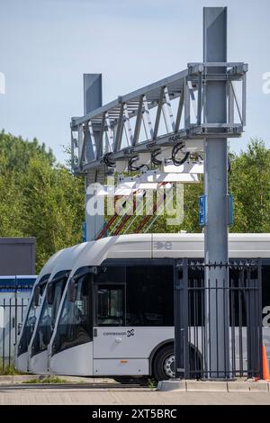 Schnellladestation für Elektrobusse am Flughafen Amsterdam Schiphol ist die gesamte Flotte von Personenbussen elektrisch, über 200 Fahrzeuge, Stockfoto