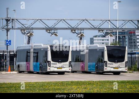 Schnellladestation für Elektrobusse am Flughafen Amsterdam Schiphol ist die gesamte Flotte von Personenbussen elektrisch, über 200 Fahrzeuge, Stockfoto