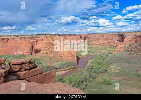 Der Chinle Creek schlängelt sich im Frühling durch das grüne Tal unterhalb des Canyon de Chelly am Tsegi Overlook Stockfoto
