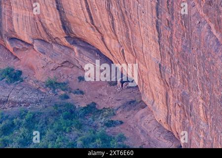 Gemauerte Ruinen von Klippenwohnungen in der Nische der Canyon de Chelly-Wände Stockfoto