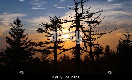 Sonnenaufgang am Mount Mitchell Stockfoto