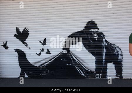 Banksy's Gorilla an den Fensterläden des Londoner Zoos 13. August 2024, bevor er hinter reflektierendem Flexiglas/Perpsex platziert wurde. Stockfoto