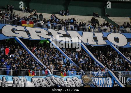 Curitiba, Brasilien. August 2024. PR - CURITIBA - 08/13/2024 - 2024 LIBERTADORES CUP, GREMIO x FLUMINENSE - GREMIO Fans während des Spiels gegen Fluminense im Couto Pereira Stadion für die Libertadores Cup Meisterschaft 2024. Foto: Leonardo Hubbe/AGIF Credit: AGIF/Alamy Live News Stockfoto