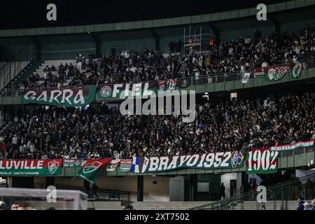 Curitiba, Brasilien. August 2024. PR - CURITIBA - 08/13/2024 - 2024 LIBERTADORES CUP, GREMIO x FLUMINENSE - FLUMINENSE Fans während des Spiels gegen Gremio im Couto Pereira Stadion für die Libertadores Cup Meisterschaft 2024. Foto: Leonardo Hubbe/AGIF (Foto: Leonardo H&#xfc;bbe/AGIF/SIPA USA) Credit: SIPA USA/Alamy Live News Stockfoto