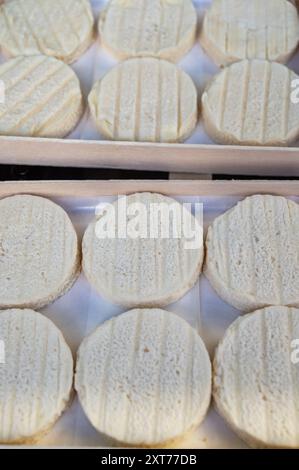 Rocamadour oder zarte Weichziege AOC-Käse mit weicher Rinde, hergestellt auf dem Bauernhof in Perigord und Quercy auf dem Bauernmarkt, Departement Partie in Frankreich Stockfoto