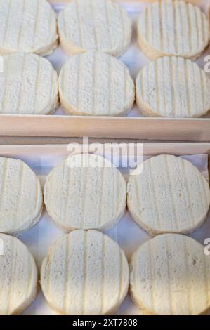 Rocamadour oder zarte Weichziege AOC-Käse mit weicher Rinde, hergestellt auf dem Bauernhof in Perigord und Quercy auf dem Bauernmarkt, Departement Partie in Frankreich Stockfoto