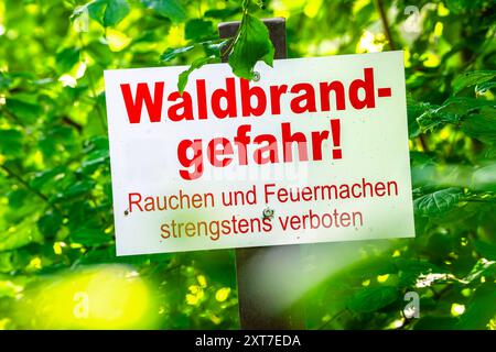 Waldbrandgefahr, Schild am Waldrand, München, August 2024 Deutschland, München, August 2024, Schild Waldbrandgefahr, Rauchen und Feuermachen strengstens verboten, Warnschild am Waldrand, Waldbrand, Brandgefahr, Trockenheit, trocken, Sommer, Bayern *** Waldbrandgefahr, Schild am Waldrand, München, August 2024 Deutschland, München, August 2024, Schild Waldbrandgefahr, Rauchen und Anzünden von Bränden streng verboten, Warnschild am Waldrand, Waldbrand, Brandgefahr, Dürre, trocken, Sommer, Bayern Stockfoto