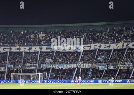 Curitiba, Brasilien. August 2024. PR - CURITIBA - 08/13/2024 - 2024 LIBERTADORES CUP, GREMIO x FLUMINENSE - GREMIO Fans während des Spiels gegen Fluminense im Couto Pereira Stadion für die Libertadores Cup Meisterschaft 2024. Foto: Leonardo Hubbe/AGIF Credit: AGIF/Alamy Live News Stockfoto