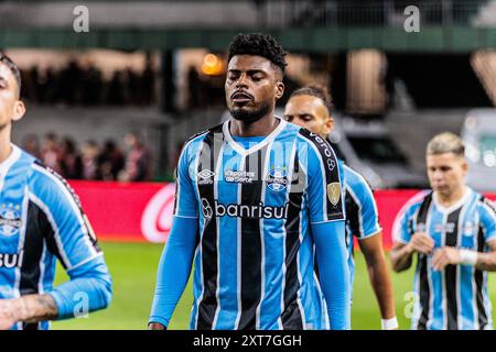 Curitiba, Brasilien. August 2024. Das Spiel zwischen Grêmio und Fluminense, gültig für die erste Etappe der Achtelrunde der CONMEBOL Libertadores 2024, die am Dienstag im Stadion Couto Pereira in Curitiba/PR ausgetragen wurde (13). Quelle: Mauro Fanha/FotoArena/Alamy Live News Stockfoto