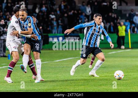 Curitiba, Brasilien. August 2024. Das Spiel zwischen Grêmio und Fluminense, gültig für die erste Etappe der Achtelrunde der CONMEBOL Libertadores 2024, die am Dienstag im Stadion Couto Pereira in Curitiba/PR ausgetragen wurde (13). Quelle: Mauro Fanha/FotoArena/Alamy Live News Stockfoto