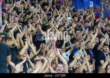 Bukarest, Rumänien. 13. August 2024: Fans der FCSB unterstützen ihre Mannschaft während der UEFA Champions League, dem dritten Qualifikationsrunde des 2. Legs zwischen FCSB und AC Sparta Praha im Steaua Stadion in Bukarest. Quelle: Lucian Alecu/Alamy Live News Stockfoto