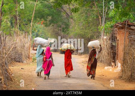 Frauen mit Produkten auf dem Weg zum Markt fotografierten im Mai in Madhya Pradesh, Indien Stockfoto