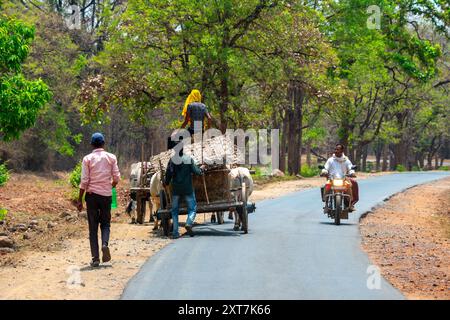 Geladener Ochsenwagen auf dem Weg zum Markt, fotografiert im Mai in Madhya Pradesh, Indien Stockfoto