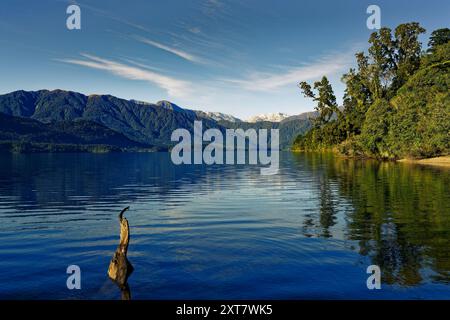 Sonnenlicht am frühen Morgen am Lake Kaniere, Hokitika, Westküste, Aotearoa / Neuseeland. Stockfoto