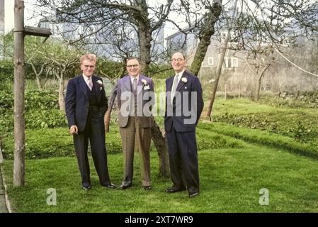 Drei Männer in Anzügen und weißen Nelken-Knopflöchern stehen im Garten gekleidet für eine Hochzeit, England, UK 1956 Stockfoto