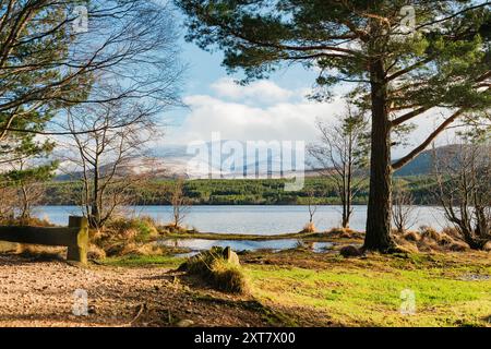 Loch Morlich in Winter, Cairngorms, Schottland, Großbritannien Stockfoto