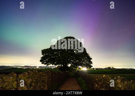 Aurora Borealis - Nordlichter in England - Penistone, Yorkshire, Großbritannien Stockfoto