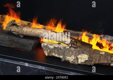 Feuer brennt in einem elektrischen Kamin. Innenraum Stockfoto