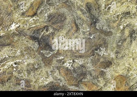Natursteinoberfläche aus nächster Nähe. Stockfoto