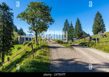 Eine alte Bahnstrecke an der Rigi dient zusammen mit ihren Brücken als Wanderweg. Vitznau, Luzern, Schweiz Stockfoto