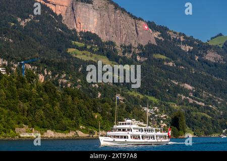 Das Motorschiff Schwyz, benannt nach dem zentralen Schweizer Kanton, bietet einen Liniendienst auf dem Vierwaldstättersee nahe Weggis, Luzern, Schweiz. Es wurde 1959 auf der SGV-Werft in Luzern gebaut, ist 58,36 Meter lang und kann bis zu 900 Passagiere befördern. Stockfoto