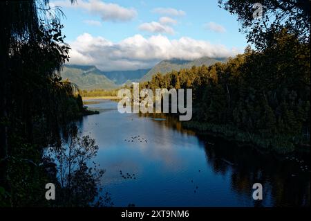 Der Lake Matheson erstreckt sich in die fernen Hügel, während Wasservögel auf seiner Oberfläche ruhen. Die Küste ist eingebettet in den neuseeländischen Busch. Stockfoto