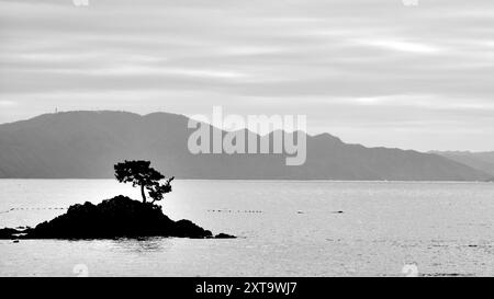 Schwarzweißbild der Landschaft in ine, nördlicher Präfektur Kyoto am Japanischen Meer Stockfoto