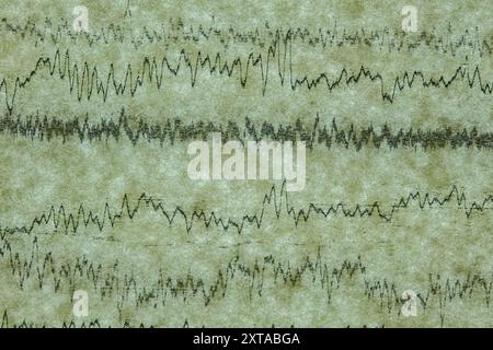 Seismograph Aufzeichnung eines Erdbebens auf altem Papier Stockfoto