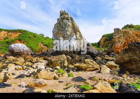 White Lady, Ladi Wen in Walisisch, Quarzit-Meeresstapel am Porth Padrig Strand bei Ebbe. Stockfoto