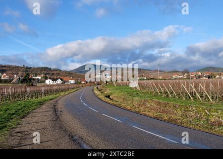 Elsass, Dezember: Blick auf die Weinberge im Chateau de Kaysersberg Stockfoto