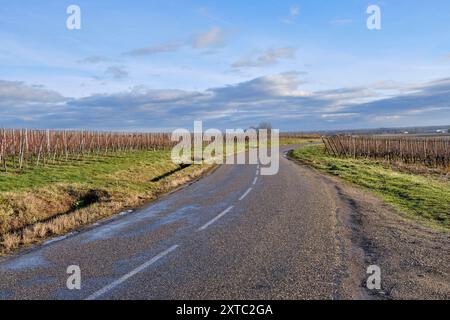 Elsass, Dezember: Blick auf die Weinberge im Chateau de Kaysersberg Stockfoto