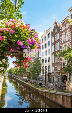 Oudezijds Achterburgwal Canal, de Wallen, Amsterdam, Niederlande Stockfoto