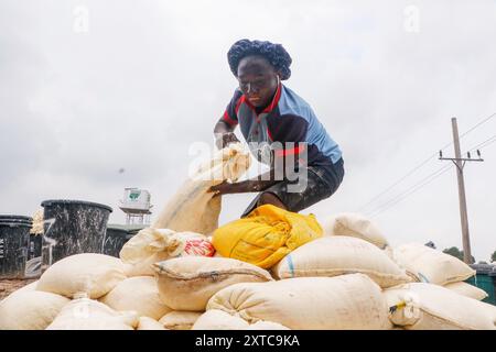 Die Weibchen in Abuja kämpfen in einer lokalen Maniok-Verarbeitungsfabrik unter schwierigen Bedingungen, um Mehl herzustellen, während sie die Spreu aus fermentiertem Maniok waschen. Angesichts der wirtschaftlichen Unsicherheiten stehen diese jungen Mädchen und Frauen vor verschiedenen Herausforderungen, um sich selbst zu stärken, Arbeitsplätze für andere zu schaffen und den Lebensunterhalt zu sichern. Die meisten Frauen hier sind Brotgewinner und sie kämpfen für ihre Familien. Nigeria. Stockfoto