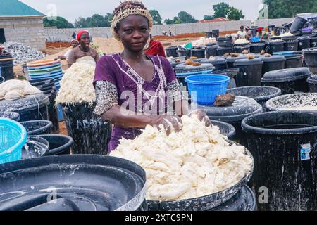 Die Weibchen in Abuja kämpfen in einer lokalen Maniok-Verarbeitungsfabrik unter schwierigen Bedingungen, um Mehl herzustellen, während sie die Spreu aus fermentiertem Maniok waschen. Angesichts der wirtschaftlichen Unsicherheiten stehen diese jungen Mädchen und Frauen vor verschiedenen Herausforderungen, um sich selbst zu stärken, Arbeitsplätze für andere zu schaffen und den Lebensunterhalt zu sichern. Die meisten Frauen hier sind Brotgewinner und sie kämpfen für ihre Familien. Nigeria. Stockfoto