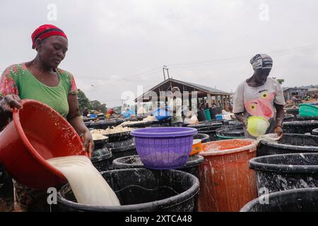 Die Weibchen in Abuja kämpfen in einer lokalen Maniok-Verarbeitungsfabrik unter schwierigen Bedingungen, um Mehl herzustellen, während sie die Spreu aus fermentiertem Maniok waschen. Angesichts der wirtschaftlichen Unsicherheiten stehen diese jungen Mädchen und Frauen vor verschiedenen Herausforderungen, um sich selbst zu stärken, Arbeitsplätze für andere zu schaffen und den Lebensunterhalt zu sichern. Die meisten Frauen hier sind Brotgewinner und sie kämpfen für ihre Familien. Nigeria. Stockfoto