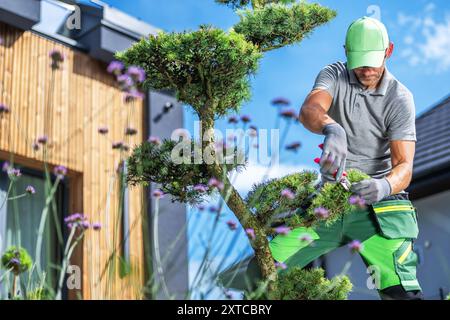 Ein Gärtner schneidet einen Bonsai-Baum in einer modernen Umgebung im Freien, umgeben von blühenden Blumen unter einem klaren blauen Himmel. Stockfoto