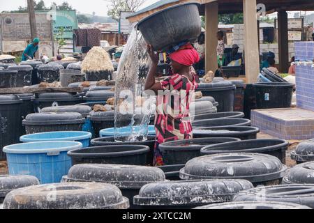 Die Weibchen in Abuja kämpfen in einer lokalen Maniok-Verarbeitungsfabrik unter schwierigen Bedingungen, um Mehl herzustellen, während sie die Spreu aus fermentiertem Maniok waschen. Angesichts der wirtschaftlichen Unsicherheiten stehen diese jungen Mädchen und Frauen vor verschiedenen Herausforderungen, um sich selbst zu stärken, Arbeitsplätze für andere zu schaffen und den Lebensunterhalt zu sichern. Die meisten Frauen hier sind Brotgewinner und sie kämpfen für ihre Familien. Nigeria. Stockfoto