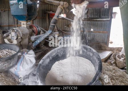 Die Weibchen in Abuja kämpfen in einer lokalen Maniok-Verarbeitungsfabrik unter schwierigen Bedingungen, um Mehl herzustellen, während sie die Spreu aus fermentiertem Maniok waschen. Angesichts der wirtschaftlichen Unsicherheiten stehen diese jungen Mädchen und Frauen vor verschiedenen Herausforderungen, um sich selbst zu stärken, Arbeitsplätze für andere zu schaffen und den Lebensunterhalt zu sichern. Die meisten Frauen hier sind Brotgewinner und sie kämpfen für ihre Familien. Nigeria. Stockfoto