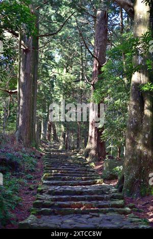 Kumano Kodo Pilgerroute, UNESCO-Weltkulturerbe in der Präfektur Wakayama in Japan Stockfoto