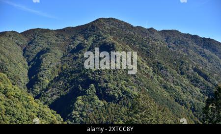 Die Pilgerroute der Berge von Kumano Kodo, UNESCO-Weltkulturerbe in der Präfektur Wakayama in Japan Stockfoto